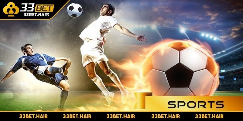Nhà phát hành SBO Sports